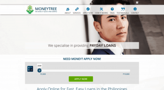 MoneyTree website screenshot